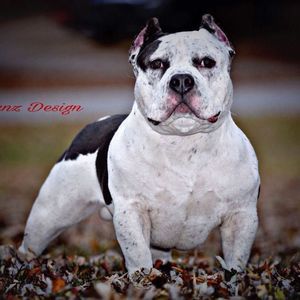 Meet your Posher, Whitney